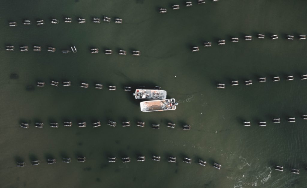 Aquaculture Farm